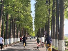 -十里·东湖院子(湖北省博物馆店)