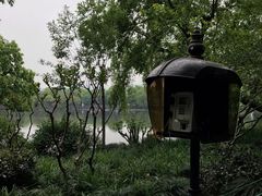 -西湖外事游船(花港观鱼码头)