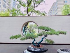 -泰康之家·申园