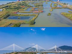 -芒洲湿地公园