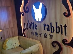 -白兔子密室(长寿路店)