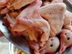 -百利鸽王(紫薇路店)