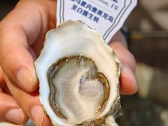 -普朗姆生蚝吧(原建国路店)