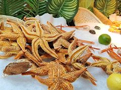 -郑州美盛喜来登大酒店