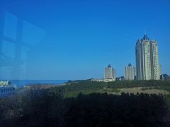 -烟台自然博物馆