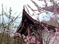 -堤角公园