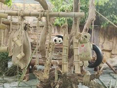 -泉州海丝野生动物世界