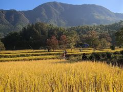 -塔川景区