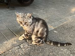 -烟袋斜街