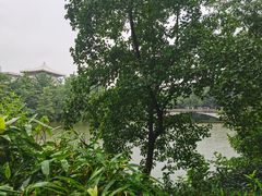 -素满香·素食自助餐厅(直营·大兴街店)
