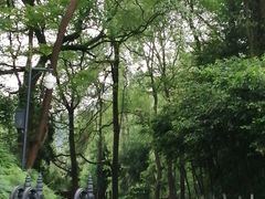 -重庆抗战遗址博物馆