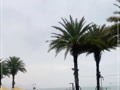 -碧桂园十里银滩