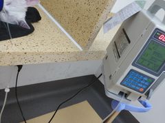 -伟伟宠物医院·瑞派猫友好医院·猫科(光谷店)