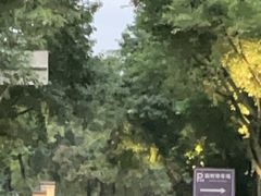 -安仁古镇