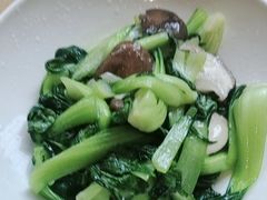 香菇油菜-渝信川菜 · 川味家常菜(财富购物中心店)