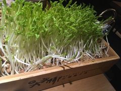 豌豆苗-大头椰·椰子鸡火锅(新梦店)