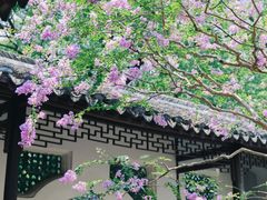 -上海醉白池公园