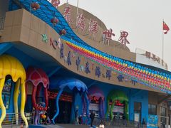 -长春中泰海洋世界