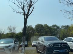 -东郊湿地公园