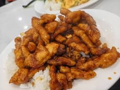 糖醋排条盖浇饭-张记汤馆(嫩江路店)