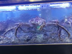 -布吉佳兆业广场