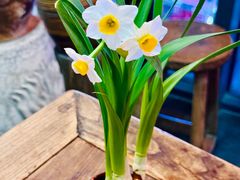 -道南書院·私房菜·早午茶·茶馆