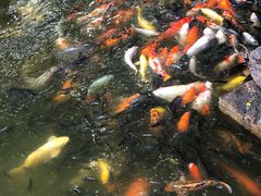 -珠海圆明新园