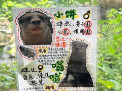 -红山森林动物园
