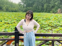 -合肥滨湖国家森林公园