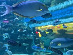 -海合安成都极地海洋公园