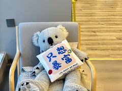-了不起的考拉咖啡店(高新店)