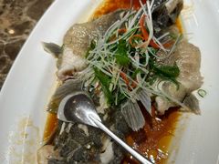 -老洋房花园饭店(绍兴路店)