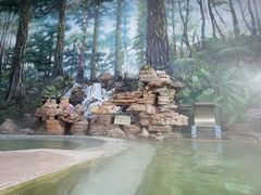 -九华山酒店温泉