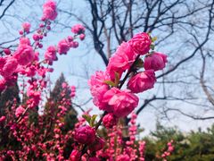 -玲珑塔公园