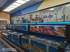 -盒马X会员店(王府井奥莱UP TOWN店)