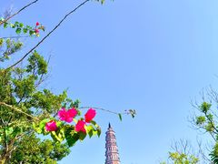 -顺峰山公园