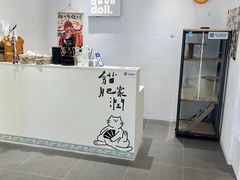 -babydoll猫舍·米努特·德文·缅因(久光中心店)