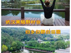 -黄陂区野村谷景区