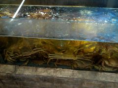 -蟹之国·精品蟹料理(极地店)