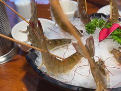 -捞围鲜·港式打边炉(海阳路店)