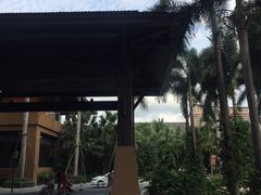 -三亚湾红树林度假世界(木棉酒店)