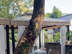 -野蔓果·山野菜(西湖景区·龙井茶田店)