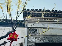 -黎里古镇