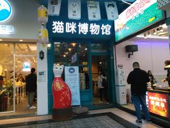 -猫咪博物馆(顶澳仔猫街店)
