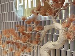 -品也·鲍鱼鸡火锅(皇庭广场店)