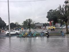-甘掌门·化州驰名牛杂粉(越秀店)