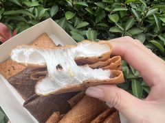 -美罗城
