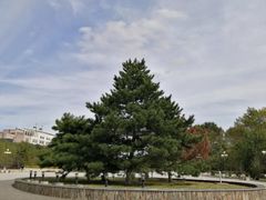 -吉林大学(前卫南区)