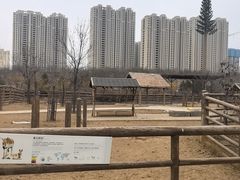 -太原动物园