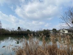 -新荣记(西溪湿地店)